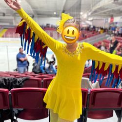 Bird Theme Dance/Skating Dress