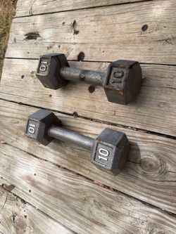 Dumbbells // 10lbs each