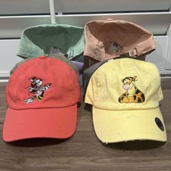 Disney Hats