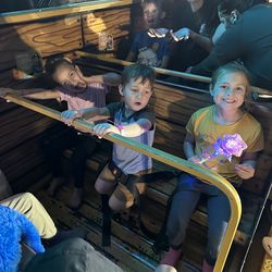 Extra Wide Pet Gate / Safety Gate - Fits Openings 29” - 49”