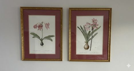 Gold Framed botanicals prints