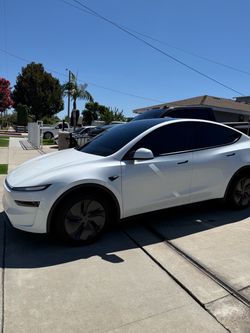 Tint for sale