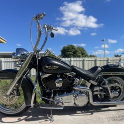 2009 Harley Davidson Softail Deluxe