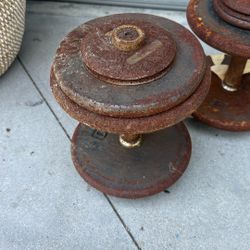  Dumbbell Weights