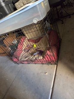 Large Wire Dog Crate