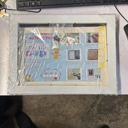 Shadow Box Frame Display Case