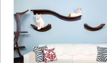 Cat Wall Leaf and Branch