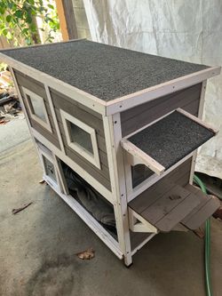 Cat house