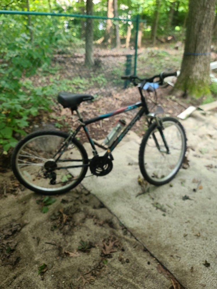 Bicycle