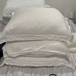 Euro Pillow With White Pillow Covers