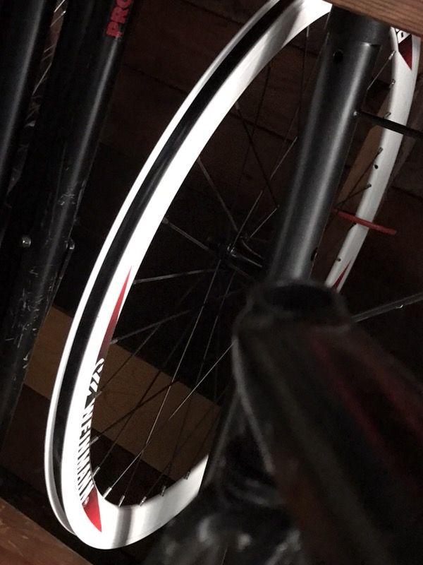 Weinmann Pegasus 700c deep v Fixie rims
