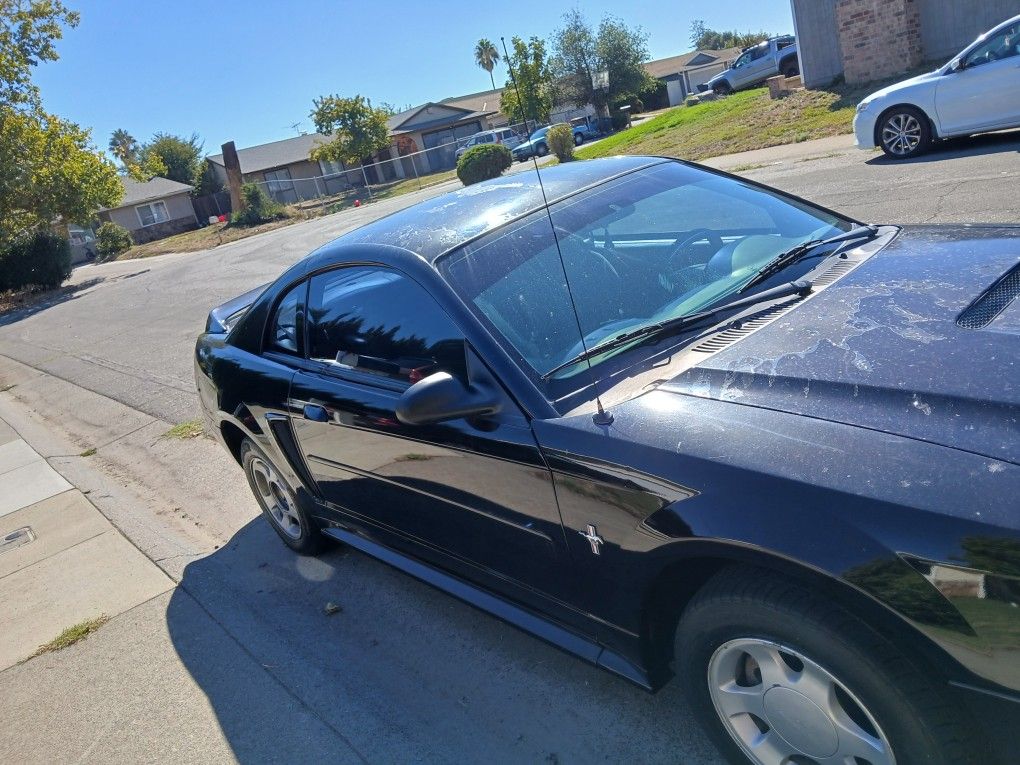 Mustang