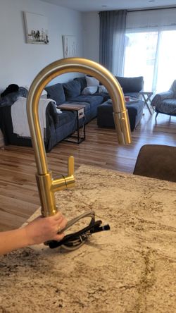 Glacier Bay Paulina Single-Handle Pull-Down Sprayer Kitchen Faucet with TurboSpray & FastMount Includes Soap Dispenser in Matte Gold, HD6705 
