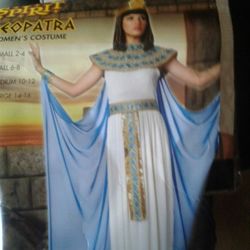 Size 10 Womens Halloween Costume / Wig