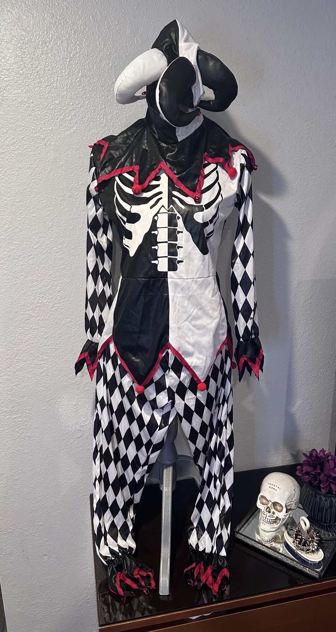 Evil jester Costume