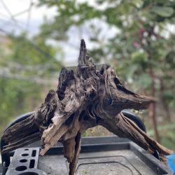 Driftwood For Aquarium Reptiles, Fish Tank, Succulent Arrangement 