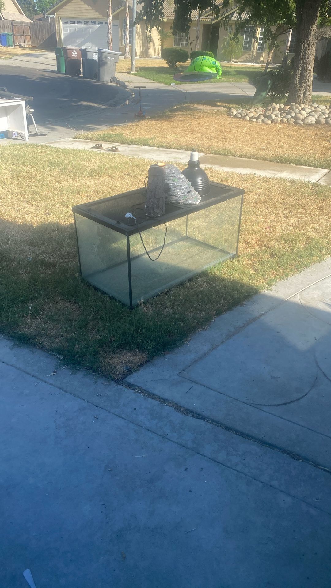 Big Reptile Tank
