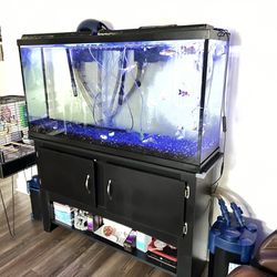 75 Gallon Tank and Stand