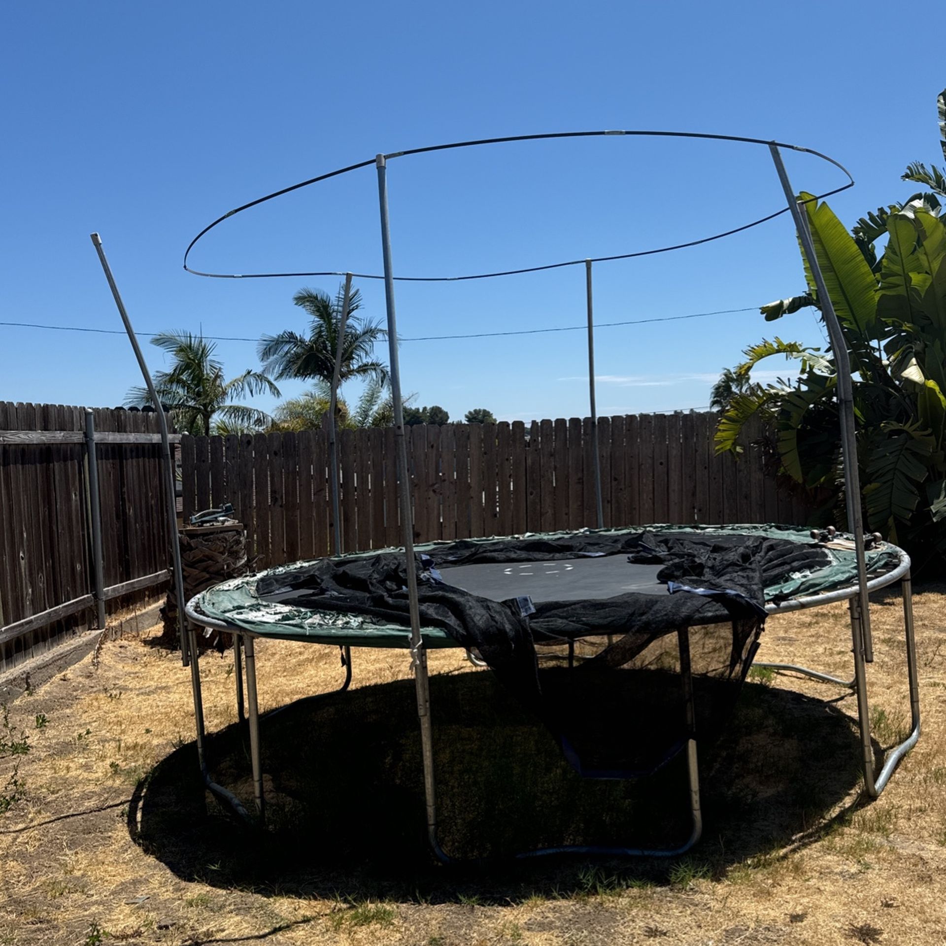 Free Trampoline