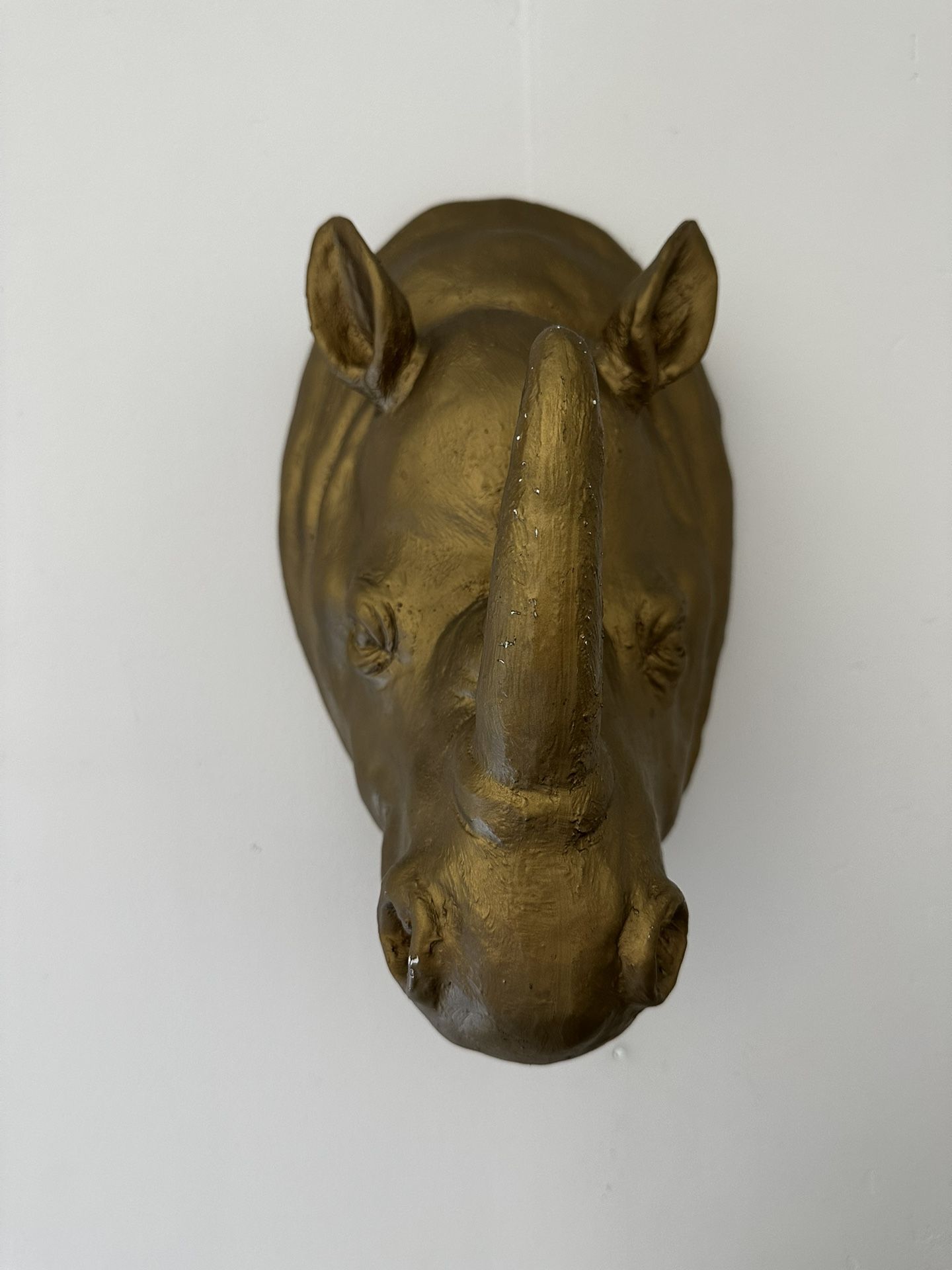 Rhino Bust