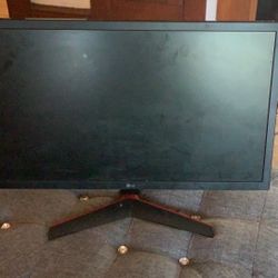 LG Monitor 