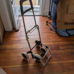 Shopping Cart (Mostly Used For Laundry