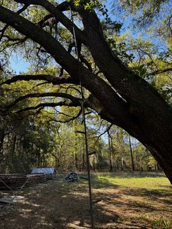 20ft deef stand ladder
