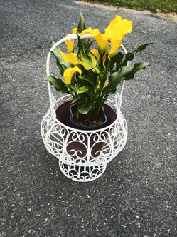 Beautiful Iron Basket Style Plant Stand & Live Plant
