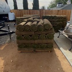 Fresh Sod And  Sprinklers Installation 