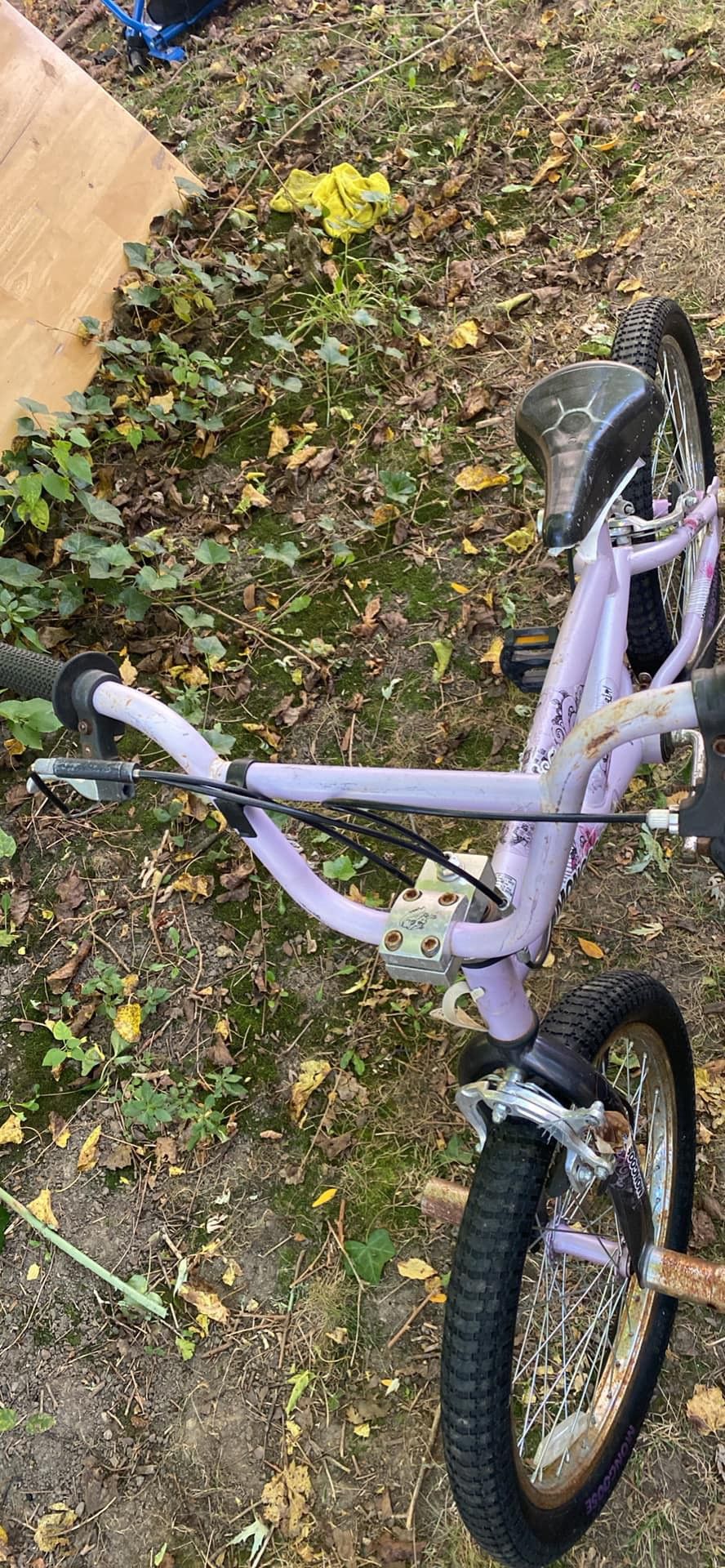 Girls Bike