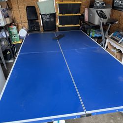 Large Ping Pong Table 