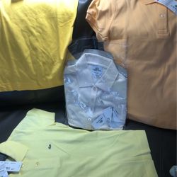 Lacoste Shirts 