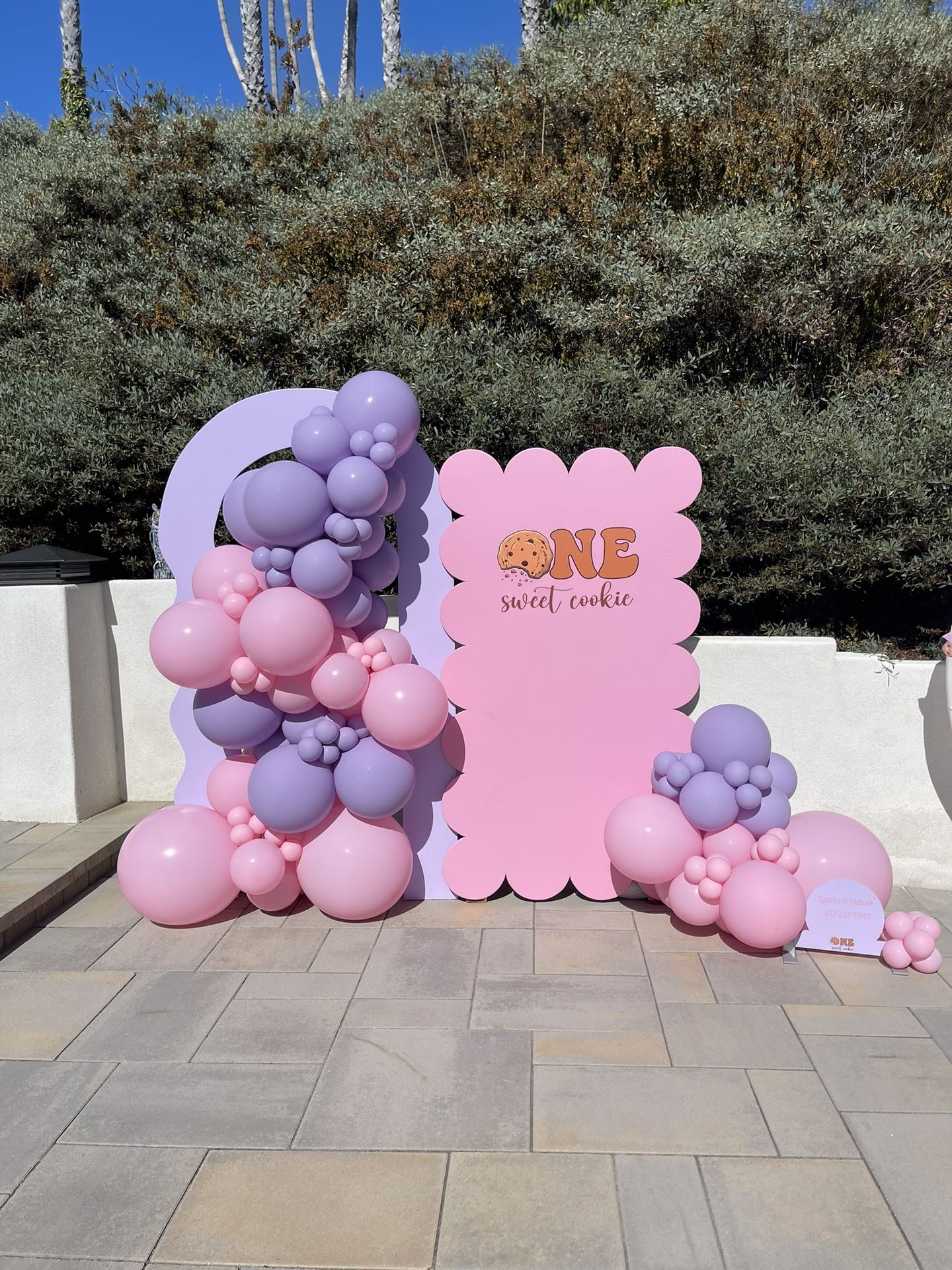 Luxury Balloon Backdrops Picnics Event Planning 