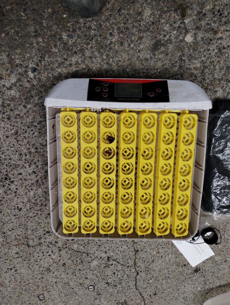 Incubator