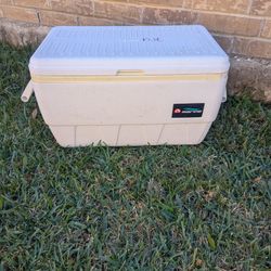 Igloo Marine 32 qt Cooler