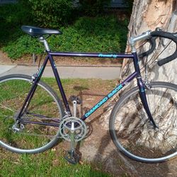 Vintage Diamond Back Prevail TG 59cm Road Bike Ready To Ride!!