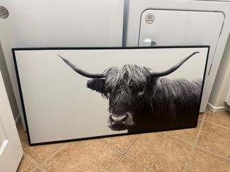 47" X 24" Highland Cow Framed Canvas - Threshold