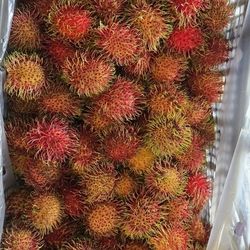 RAMBUTAN DE MEXICO