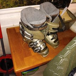 Ski Boot: silic, 25.0 Next Nordica