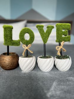 Small Greenery Decoration
