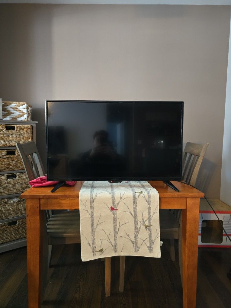 Insignia 32" 1080p TV. Works with Roku, Fire Stick and Video Game Systems