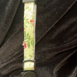 Cat Collar 
