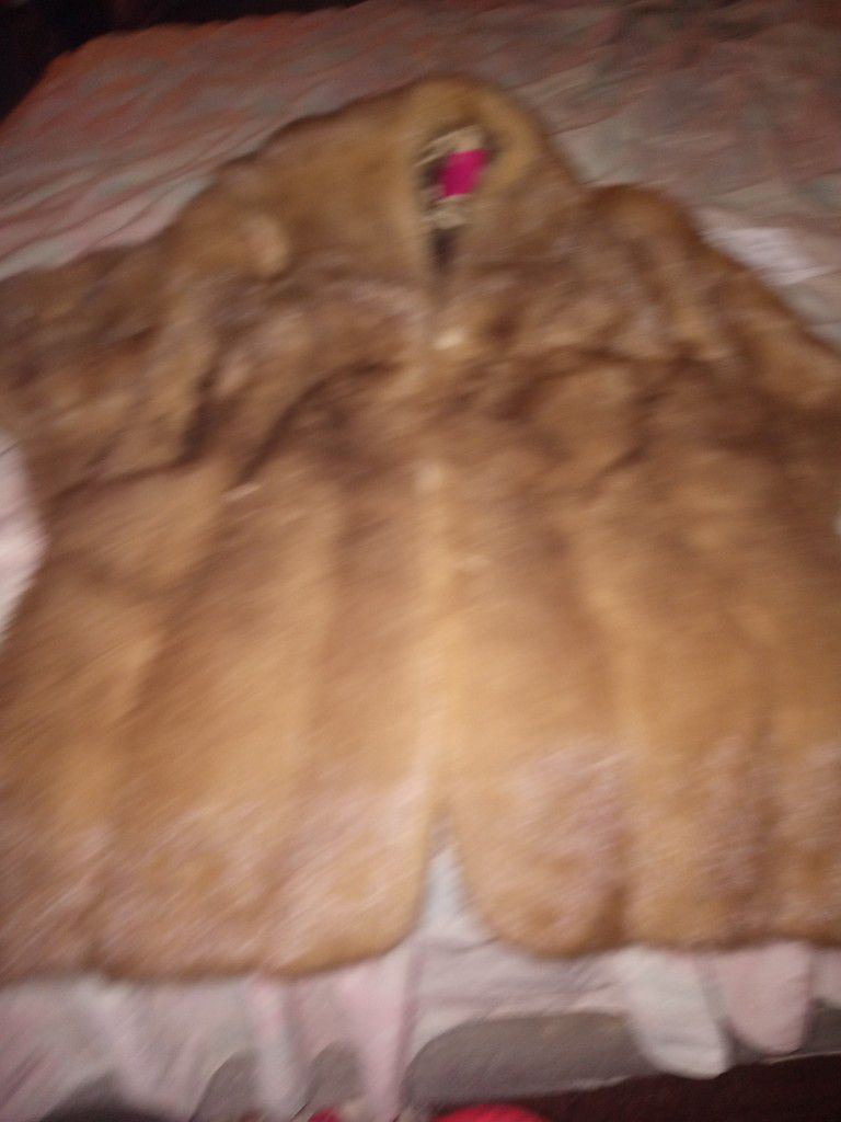 Mink Coat 