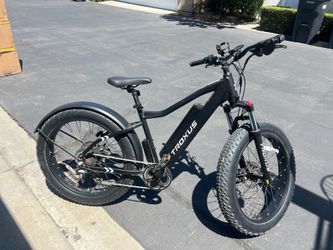 Troxus EBike, 2 batteries and 2 keys