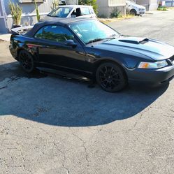 2004 Mustang Jack Roush Stage 2 