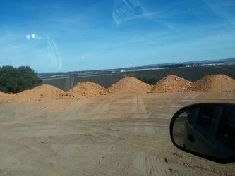 🔶Free dirt🔶