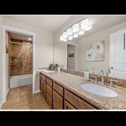 Bathroom Granite Countertop 90 1/4 X 26