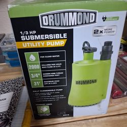 1/3 Hp Submersible Water Pump