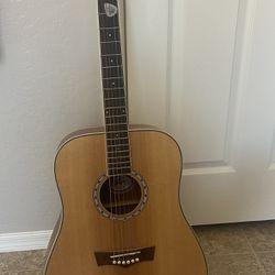 peavey acoustic guitar