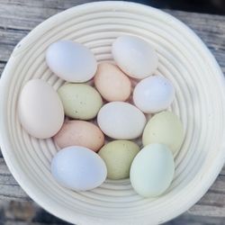 Fresh Pasture Eggs, $5/dozen, P/U Davenport
